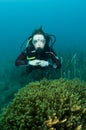 Woman scuba diver Royalty Free Stock Photo