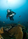 Woman scuba diver Royalty Free Stock Photo