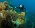 Woman scuba diver Royalty Free Stock Photo