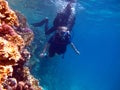 Woman scuba diver and beautiful colorful coral reef underwater Royalty Free Stock Photo