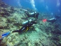 Woman SCUBA Diver Looking At Camer Underwater Royalty Free Stock Photo