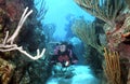 Woman Scuba diver in Roatan