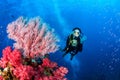 Woman scuba diving beautifully and vibrant colors of corals in Similan,North Andaman Sea Royalty Free Stock Photo