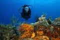 Woman Scuba Diving Over a Coral Reef