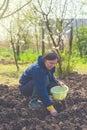 Woman seeding onions in organic vegetable garden Royalty Free Stock Photo