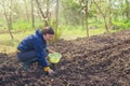 Woman seeding onions in organic vegetable garden Royalty Free Stock Photo