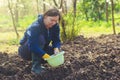 Woman seeding onions in organic vegetable garden Royalty Free Stock Photo