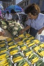 Woman selecting squash