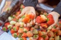 Woman seller holding strawberry in hands.Offering to customers at market