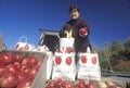 Woman selling apples