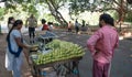 Bengaluru, Karnataka / India - November 27 2019: A woman selling charcoal roasted corn using a solar powered fan to the public wit