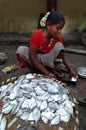 Woman selling fish Royalty Free Stock Photo