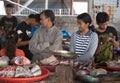 A woman is selling fishes at a street market in Labuanbajo Royalty Free Stock Photo