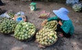 A woman selling fruits in Bacgiang, northern Vietnam