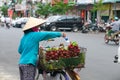 Woman Selling Rambutan in Vietnam Royalty Free Stock Photo