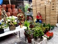 A woman sells decorative plants and flowers, christmas decors and baskets in Dapitan Market