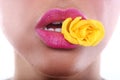 Woman With Sensual Lips Holding Flower in Mouth Royalty Free Stock Photo