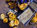 A woman separates the seeds from the pumpkin to dry