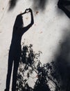 Woman shadow in concrete with fallen leaves