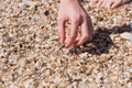 Woman on shellfish beach touch shells at sunny day