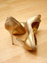 Woman shoes Royalty Free Stock Photo