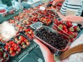 Woman shopping for fresh currant and strawberries market Royalty Free Stock Photo