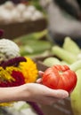 Woman shopping for fresh vegetables at a farmers market Royalty Free Stock Photo