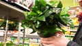 woman shopping inside TOOM floral florist supermarket