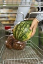 Woman shopping at supermarket or grocery store buy choosing watermelon fruit inside hypermarket. Royalty Free Stock Photo