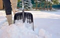 Woman Shoveling her garden Royalty Free Stock Photo