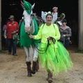 Woman Showing Horse - Walworth County Fair Royalty Free Stock Photo