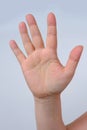 Woman shows the palm of her hand, demonstrates the lines of life, love, stop concept, palmistry, basis for the designer to add