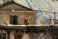 Woman sifts corn on roof