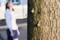 Woman silhouete in background while snails are comepting on the