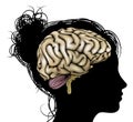 Woman silhouette brain