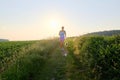 Woman Silhouette with a dog running down a gravel path at sunset Royalty Free Stock Photo