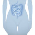 Woman silhouette with healthy intestine