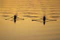 Golden Reflections of two women