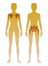 Woman silhouette with skeleton of the shoulder girdle and pelvic girdle location on body. Illustration