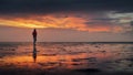 Woman walking along the Wadden Sea in Buesum during dramatic sunset Royalty Free Stock Photo