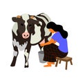 A woman sits on a chair and milks a black and white cow on a white background. Cute flat isolated vector Royalty Free Stock Photo