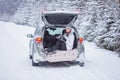 Woman sits in trunk of the car and holds a cup of hot tea in hands. Winter vacation, travel. Snow forest and road Royalty Free Stock Photo