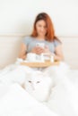 A woman is sitting in bed with a mobile phone in her hands. A white cat lies at the feet of the mistress with a cold. A Royalty Free Stock Photo