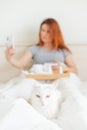 A woman is sitting in bed with a mobile phone in her hands. A white cat lies at the feet of the mistress with a cold. A Royalty Free Stock Photo