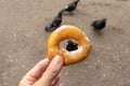 Woman sitting on a bench in park and holding beignet pastry, donut in hand, blurred pigeons on background, street fast food