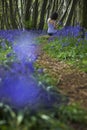 Woman Sitting In Bluebell Woods Royalty Free Stock Photo