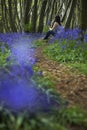 Woman Sitting In Bluebell Woods Royalty Free Stock Photo