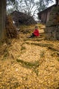 Woman Sitting With Golden Leaves Royalty Free Stock Photo