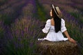 Woman sitting on hay bale in lavender field, back view Royalty Free Stock Photo