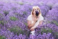 Woman sitting at lavender field smelling flowers Royalty Free Stock Photo